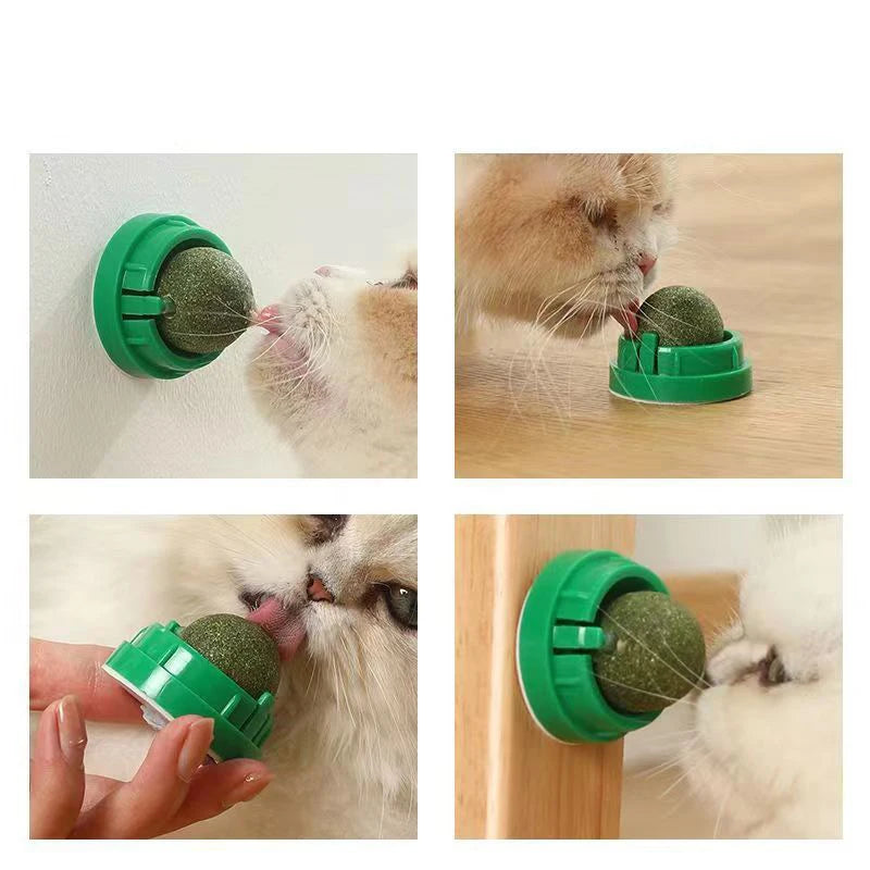Catnip Wall-Mounted Play & Snack Toy™