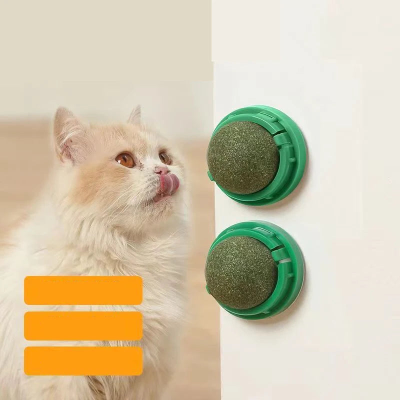 Catnip Wall-Mounted Play & Snack Toy™