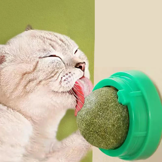 Catnip Wall-Mounted Play & Snack Toy™