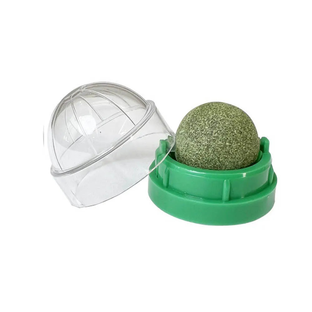 Catnip Wall-Mounted Play & Snack Toy™