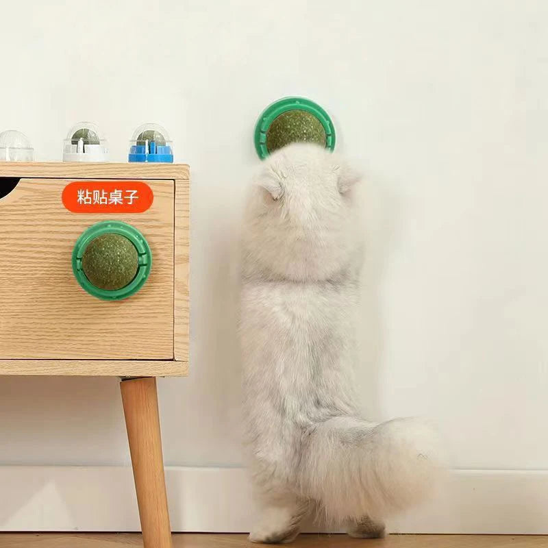 Catnip Wall-Mounted Play & Snack Toy™