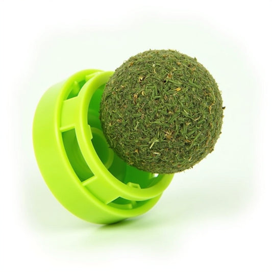 Catnip Wall-Mounted Play & Snack Toy™